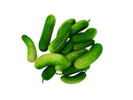 Cucumbers on a white background photo