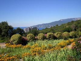 View of the Crimean coast from the territory of the Nikitsky Botanical Garden photo