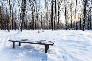 vista del banco cubierto de nieve en el parque urbano en invierno foto