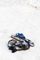 frozen slippers near snow edge of ice hole photo