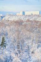 bosque de nieve y casas de la ciudad en invierno foto
