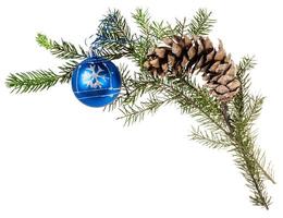 branch of spruce tree with cone and blue ball photo