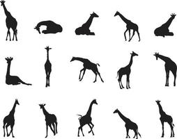 A vector silhouette collection of Giraffes for artwork compositions.