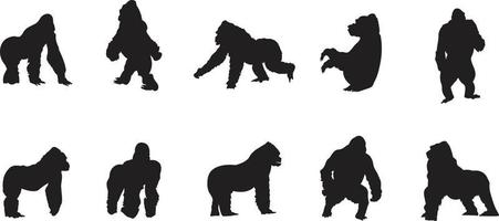 una colección de siluetas vectoriales de gorilas para composiciones artísticas. vector