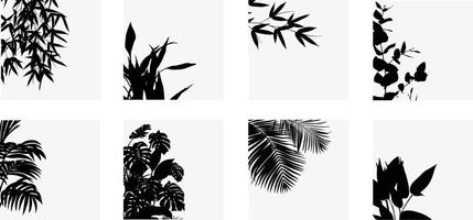 A vector collection of botanical leaves for artwork compositions