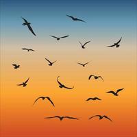 A vector collection or birds flying in a horizon