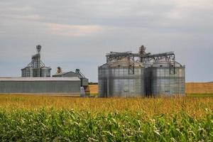 agro silos granary elevator with seeds cleaning line on agro-processing manufacturing plant for processing drying cleaning and storage of agricultural products in rye corn or wheat field photo