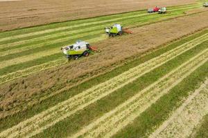 aerial view over modern heavy harvesters remove the ripe wheat bread in field. Seasonal agricultural work