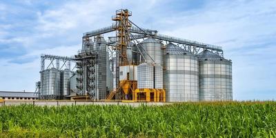 Elevador de granero de agrosilos con línea de limpieza de semillas en la planta de fabricación de agroprocesamiento para el procesamiento, secado, limpieza y almacenamiento de productos agrícolas en campo de centeno o trigo foto