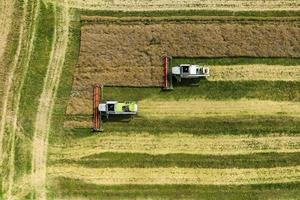 vista aérea sobre modernas cosechadoras pesadas quitan el pan de trigo maduro en el campo. trabajo agrícola estacional foto