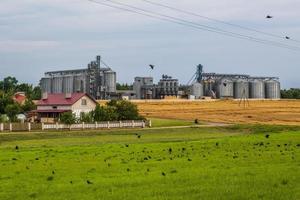 Elevador de granero de agrosilos con línea de limpieza de semillas en la planta de fabricación de agroprocesamiento para el procesamiento, secado, limpieza y almacenamiento de productos agrícolas en campo de centeno o trigo foto