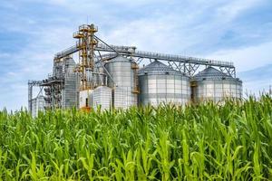 agro silos granary elevator with seeds cleaning line on agro-processing manufacturing plant for processing drying cleaning and storage of agricultural products in rye corn or wheat field photo