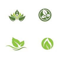 Logos of green Tree leaf ecology vector