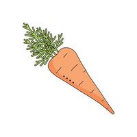 Carrot Isolated on white background for menu, banner, poster, label, emblem. Cartoon style vector