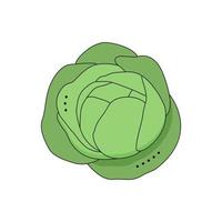 Cabbage Isolated on white background for menu, banner, poster, label, emblem. Cartoon style vector