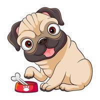 Lindo perro pug de dibujos animados comiendo hueso aislado sobre fondo blanco. vector