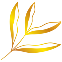 illustration de feuilles d'or png