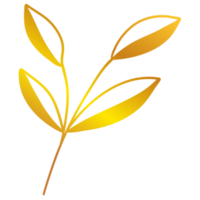 ilustración de hojas doradas png