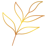 Golden Leaves Line Art png