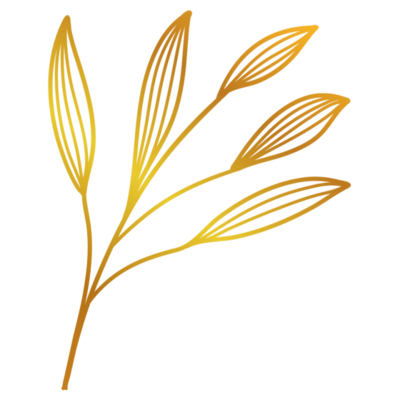 Gold Leaf PNGs for Free Download