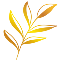 illustration de feuilles d'or png