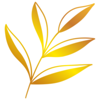 illustration de feuilles d'or png