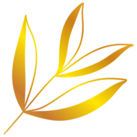 illustration de feuilles d'or png
