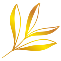 illustration de feuilles d'or png