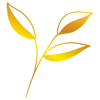 illustration de feuilles d'or png