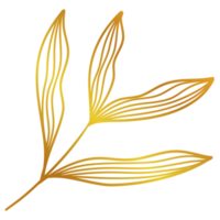 goldene Blätter Strichzeichnungen png