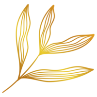 Golden Leaves Line Art png