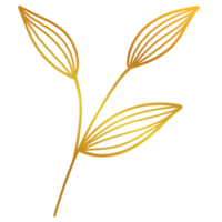 Golden Leaves Line Art png