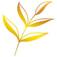 illustration de feuilles d'or png