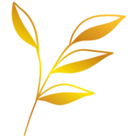 illustration de feuilles d'or png