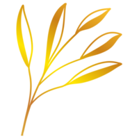 ilustração de folhas douradas png