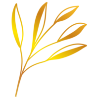 Golden Leaves Illustration png