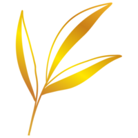 illustration de feuilles d'or png