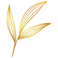 dessin au trait feuilles d'or png