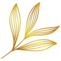 Golden Leaves Line Art png