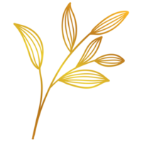 arte lineal de hojas doradas png