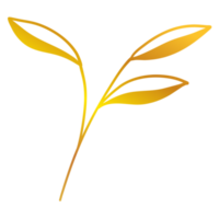 illustration de feuilles d'or png