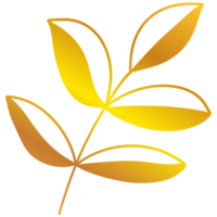 illustration de feuilles d'or png