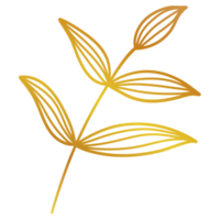 Golden Leaves Line Art png