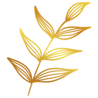 Golden Leaves Line Art png