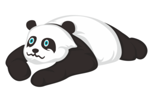 animal - panda lindo png