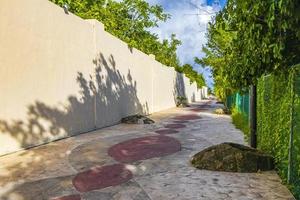 Natural tropical mexican beach 88 entrance Playa del Carmen Mexico. photo