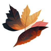 Autumn leave isolated on white background october digital art png