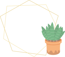 cute luxury flat style cactus and succulent with geometric golden frame png