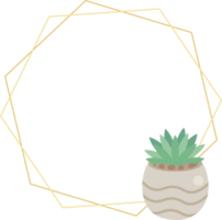 cute luxury flat style cactus and succulent with geometric golden frame png