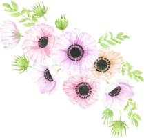 bouquet de fleurs d'anémone dessiné à la main aquarelle png